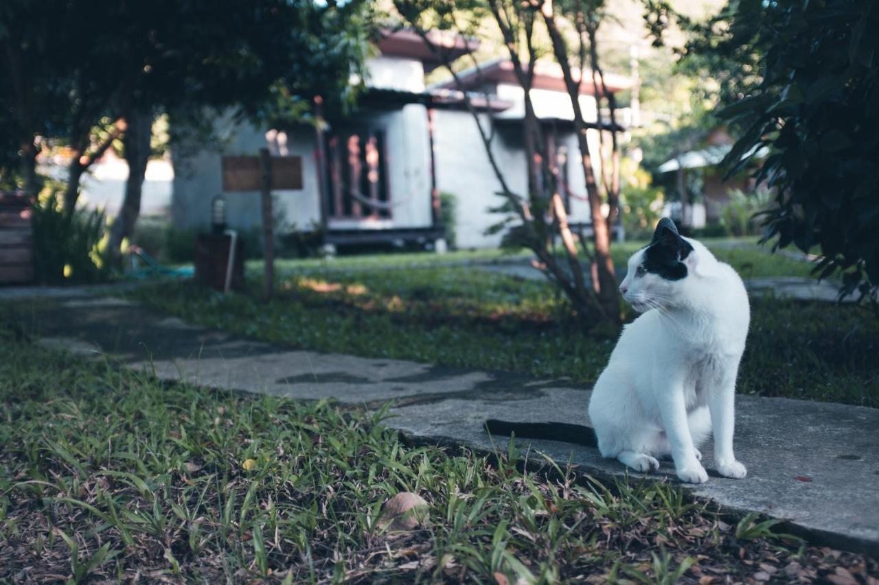 Prilpai Pensión Exterior foto